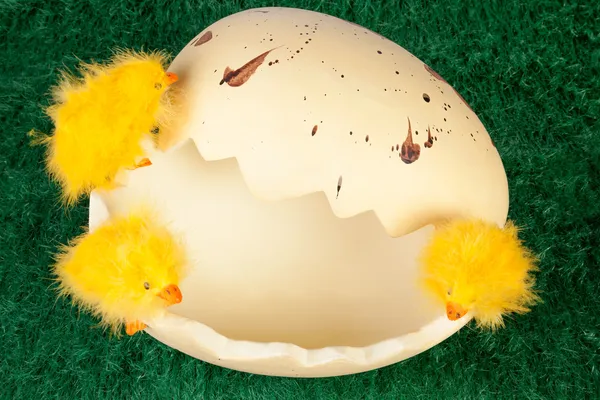 Easter chicks on a broken eggshell — Stock Photo, Image