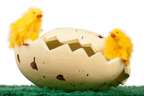 Easter chicks on an eggshell — Stock Photo, Image