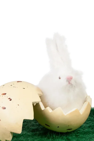 Cute Easter bunny in an eggshell — Stock Photo, Image