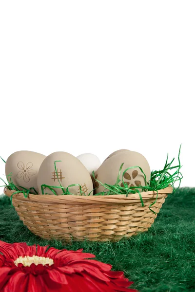 Eggs in a basket against a neutral background — Stock Photo, Image