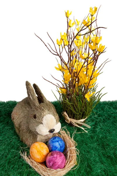 Easter bunny rabbit with colourful eggs — Stock Photo, Image