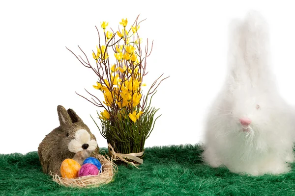 Два милых пушистых пасхальных кролика — стоковое фото