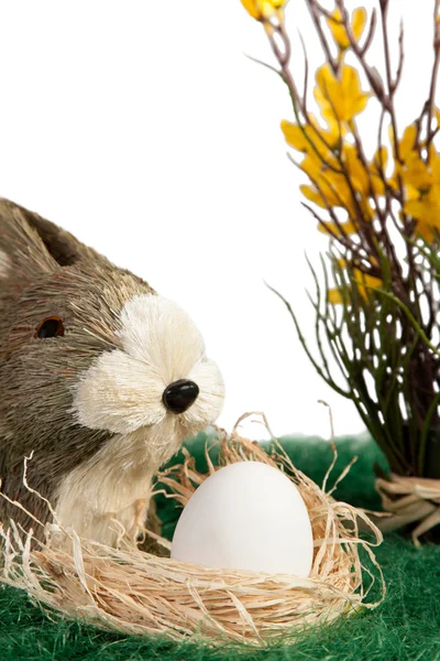 Коричнево-белый пасхальный кролик — стоковое фото