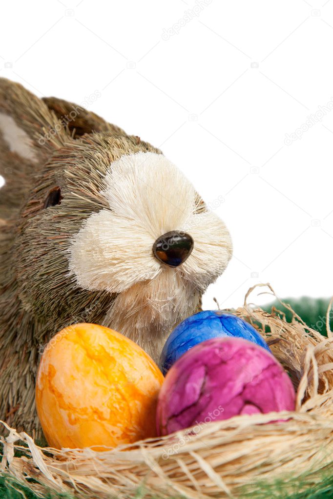 Easter Rabbit with colourful Easter Eggs