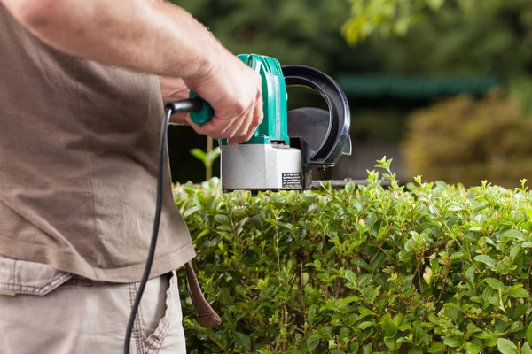 The gardener — Stock Photo, Image