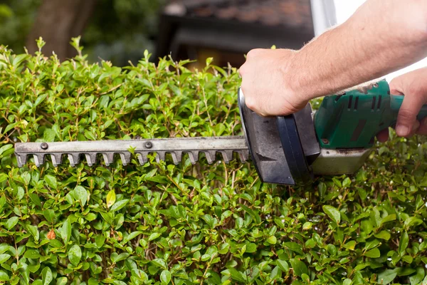 Elektrische Gartenschere — Stockfoto