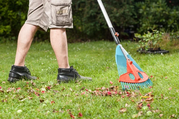 Old Leave — Stock Photo, Image