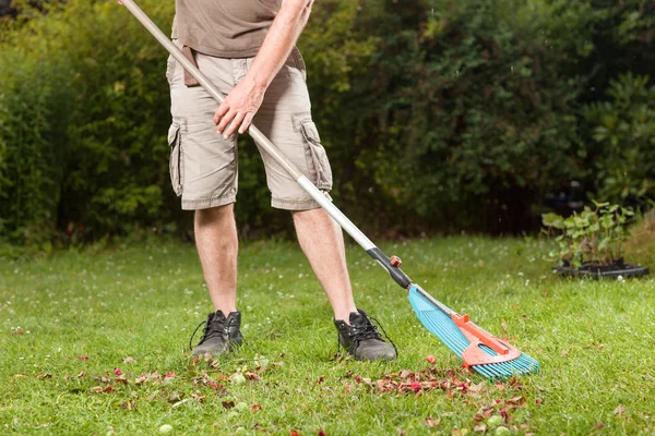 Travaux de jardin — Photo