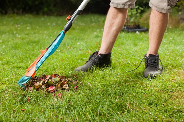 Pile of leaves — Stock Photo, Image