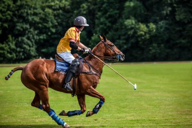 polo oyuncusu