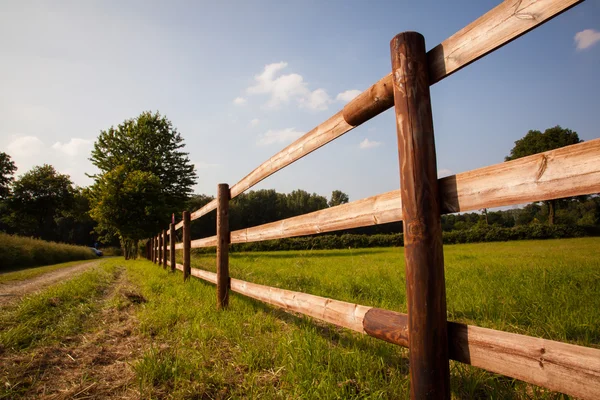 Weidezaun — Stockfoto