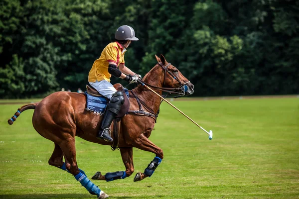 Polo spelare — Stockfoto