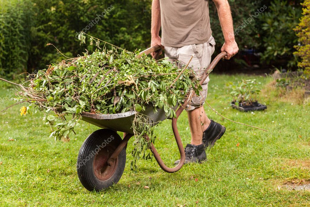 Garden work — Stock Photo © dteurope 29706517