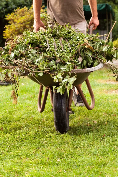 Schubkarre in Bewegung — Stockfoto