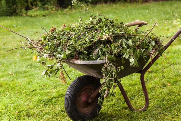 Kruiwagen met volle wielen — Stockfoto