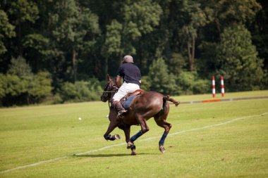 Polo oyunu
