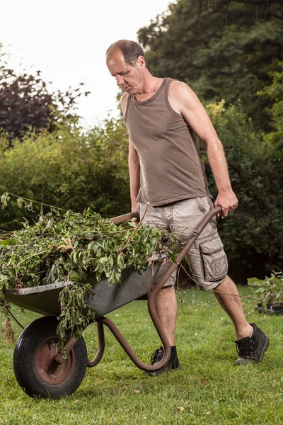 Full Wheelbarrow — Stock Photo, Image