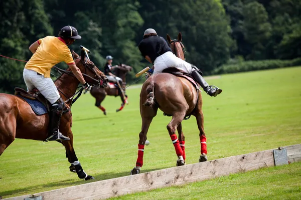 Polo paard pauze — Stockfoto