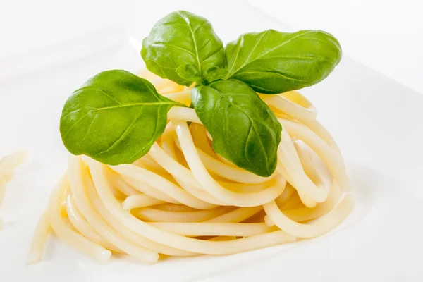 Spaghetti träd — Stockfoto