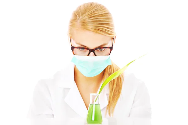 Young scientist — Stock Photo, Image