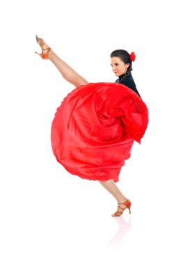 Flamenko Dansçısı