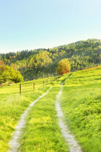 Groene landschap — Stockfoto