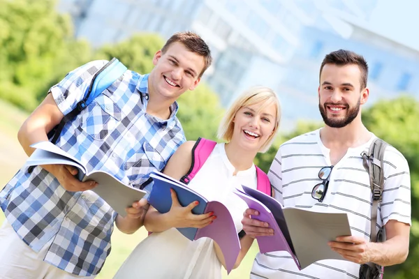 Group of students learning in the park — Stock Photo, Image