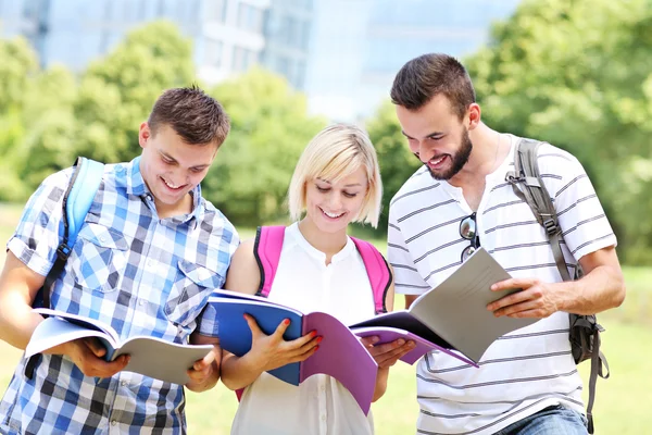 Vrolijke studenten leren in het park — Stockfoto