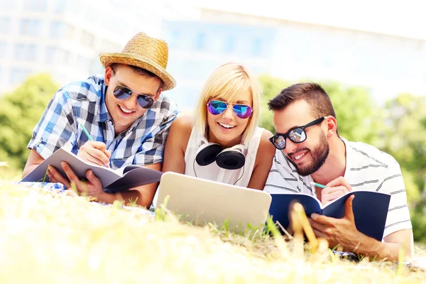 Studenten leren in het park — Stockfoto