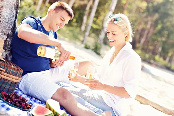 Pareja adulta haciendo picnic en la playa —  Fotos de Stock