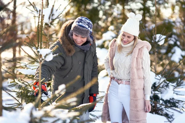 Couple sur le marché des arbres de Noël pendant l'hiver — Photo