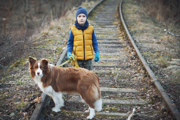 一个孩子带着爱与和平的信息和狗在一起的画面 — 图库照片