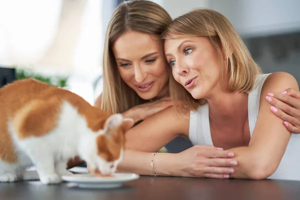 Belle due ragazze adulte in casa con gatto — Foto Stock
