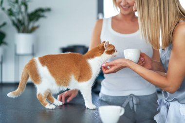 Evde kedisi olan iki yetişkin kız.