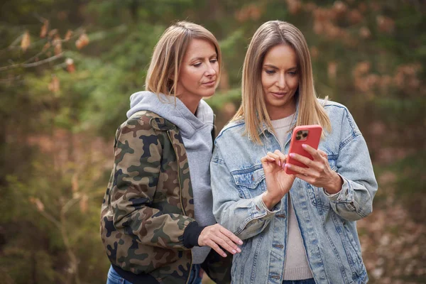 Two girl friends or lgnt couple in wood — ストック写真