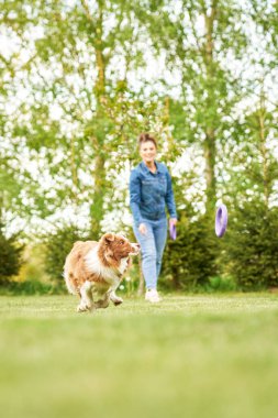Çikolata Beyaz Sınır Collie ve kadın sahibi.