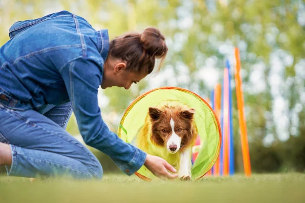 Cioccolato bianco Border Collie con proprietario donna — Foto Stock