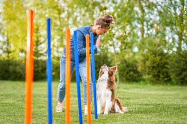 Çikolata Beyaz Sınır Collie ve kadın sahibi.