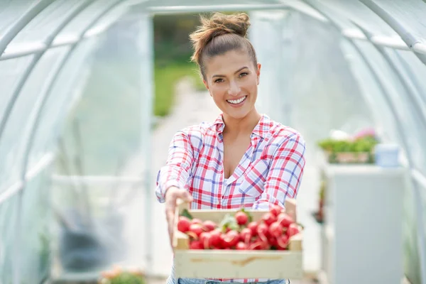 Portrait of gardener woman in greenhouse with radish — Stock Photo, Image