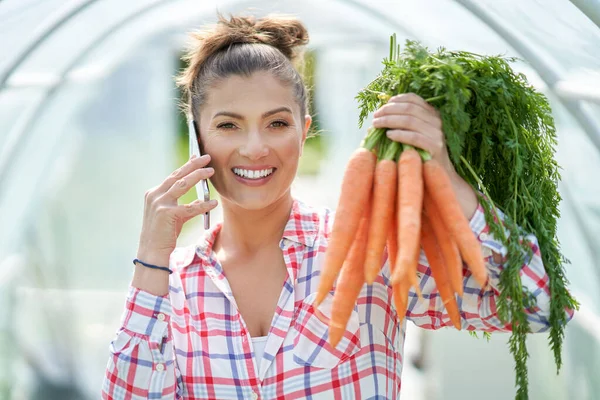 Joven jardinero mujer con zanahorias en invernadero —  Fotos de Stock