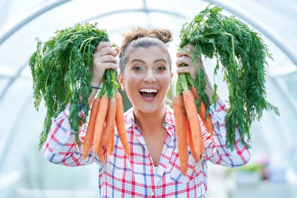 Молодий садівник жінка з морквою в теплиці — стокове фото