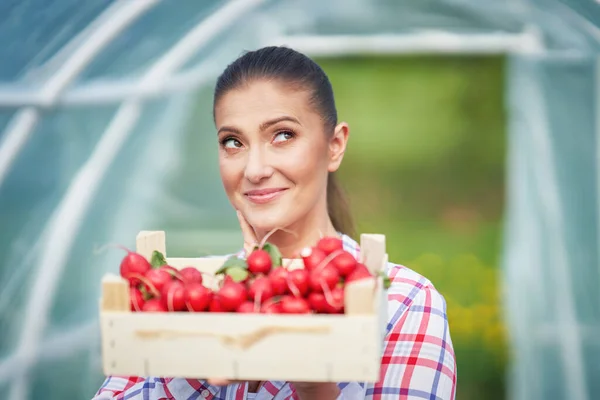 Retrato de mujer jardinero en invernadero con rábano —  Fotos de Stock