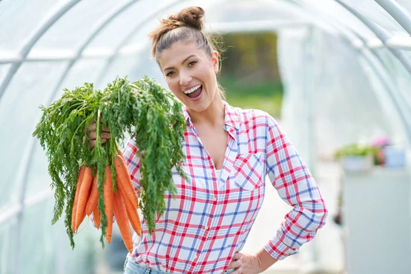 Wanita tukang kebun muda dengan wortel di rumah kaca — Stok Foto