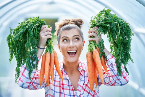 Jonge tuinier vrouw met wortels in kas — Stockfoto