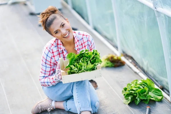 Mujer joven jardinero trabajando en invernadero con lechuga — Foto de Stock