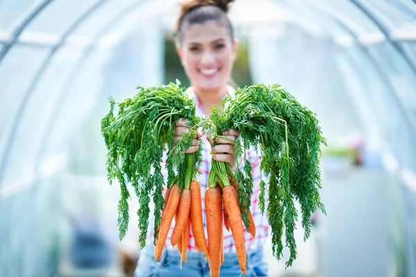 Wanita tukang kebun muda dengan wortel di rumah kaca — Stok Foto