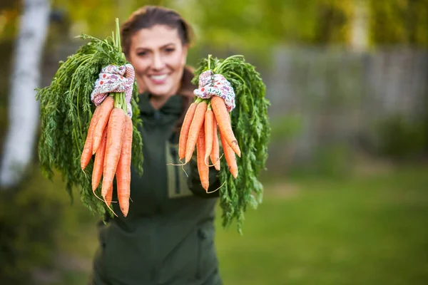 Woman Gardener Hold Fresh Carrot Hands High Quality Photo — Stock Photo, Image