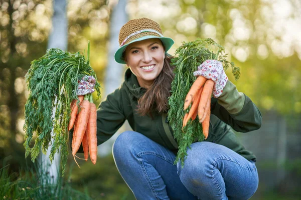 Tukang Kebun Wanita Memegang Wortel Segar Tangan Foto Berkualitas Tinggi — Stok Foto