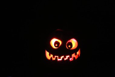 Cadılar Bayramı Balkabağı. Cadılar Bayramı balkabağı parti havasında. Jack O Lantern. Cadılar Bayramı Jack O Lantern karanlıkta. Siyam Balkabağı. Kızgın suratlı balkabağım. Karanlıkta parlayan Jack o Lantern. Geceleri gülümseyen Kötü Balkabağı. Şeker mi şaka mı? Korkunç balkabağı surat.. 