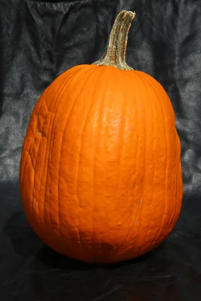 Tacksägelsedagen Halloween Thanksgiving Pumpkin Med Svart Läderbakgrund Pumpa Svart Apelsinpumpa — Stockfoto